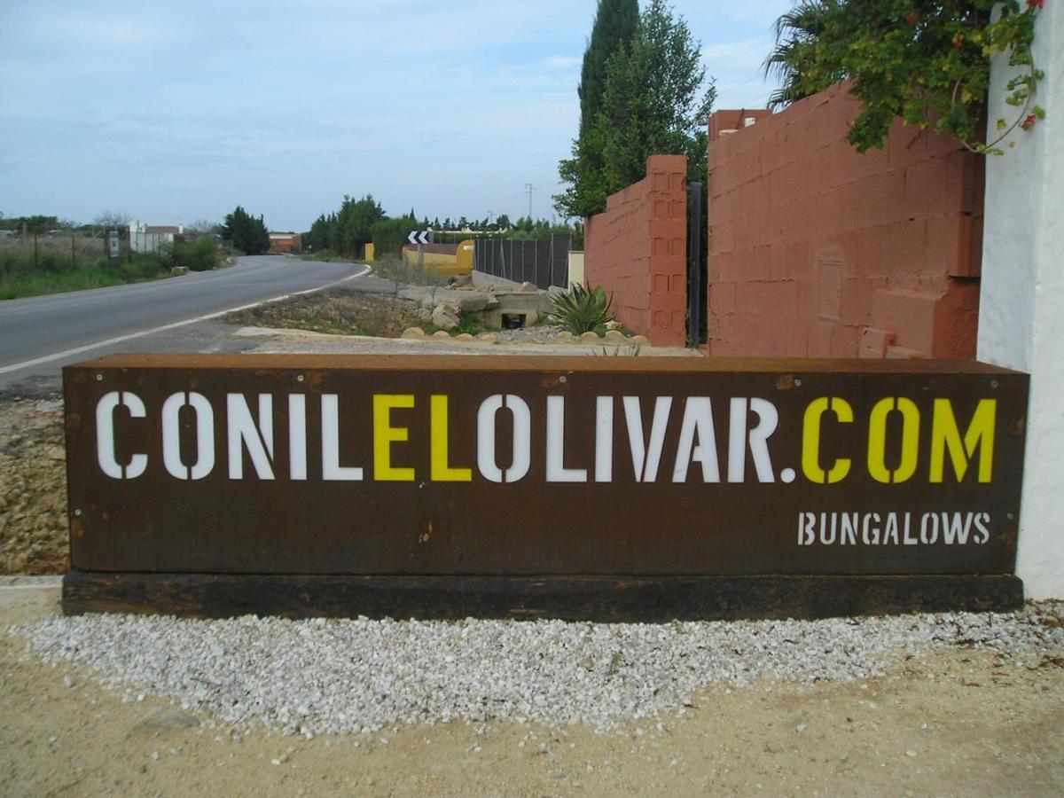 El Olivar De Roche Viejo Conil De La Frontera Exterior photo