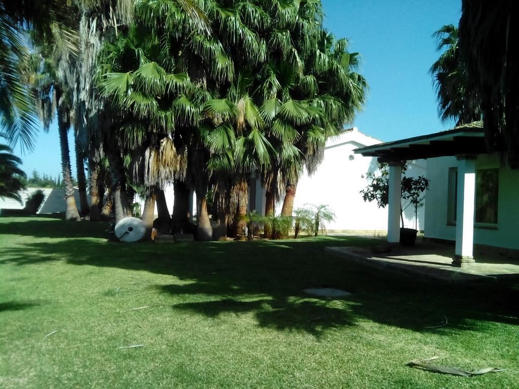 El Olivar De Roche Viejo Conil De La Frontera Exterior photo