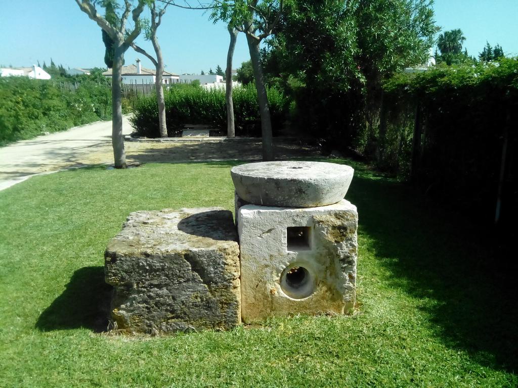 El Olivar De Roche Viejo Conil De La Frontera Exterior photo