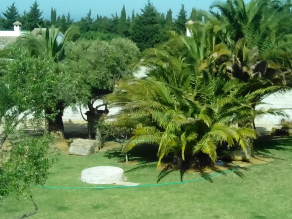 El Olivar De Roche Viejo Conil De La Frontera Exterior photo
