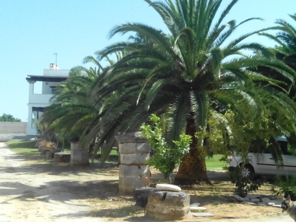 El Olivar De Roche Viejo Conil De La Frontera Exterior photo