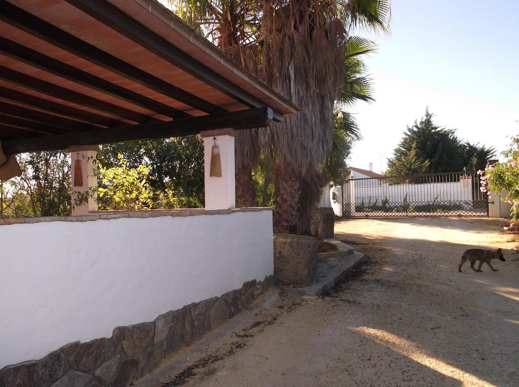 El Olivar De Roche Viejo Conil De La Frontera Exterior photo